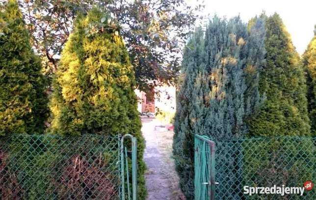 Dzialka ROD Hutnik Częstochowa