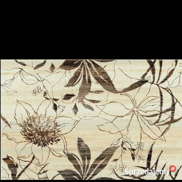 Aleksandria krem Flower 54 x 30 Opoczno płytki zachodniopomorskie Białogard