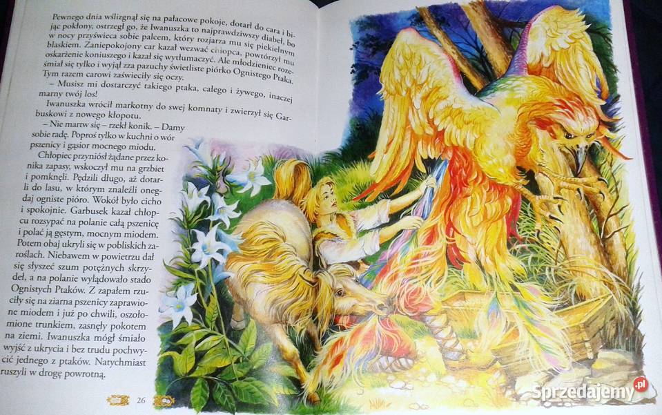 Konik garbusek i inne bajki praca zbiorowa lubelskie Chełm