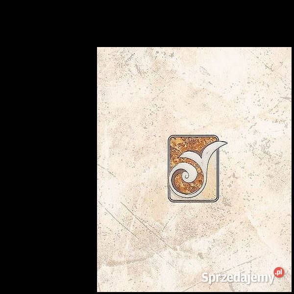 Dekor Rea 6K Domino 20 x 25 Tubądzin aktualne Białogard