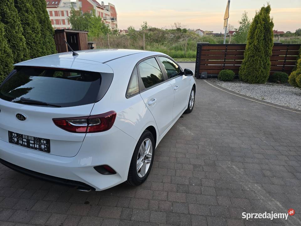 KIA CEED 2019r 14 benzyna Hatchback Przasnysz