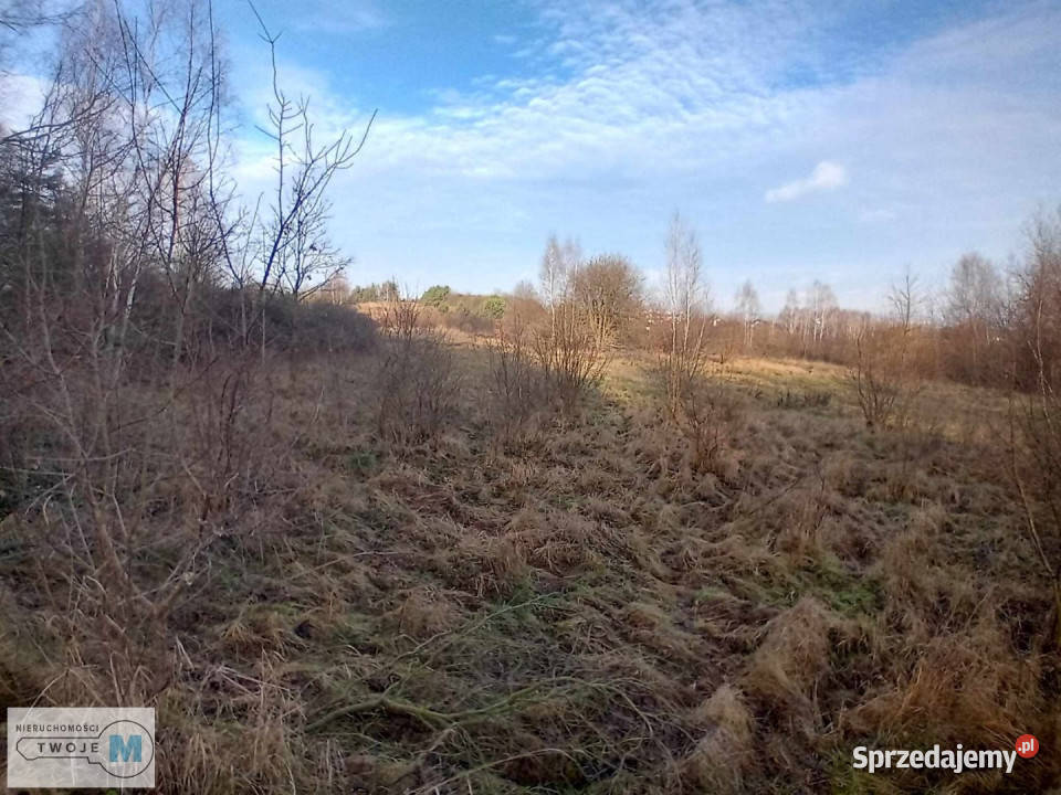 Do sprzedaży działka 17841m Daleszyce