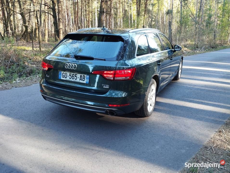 Audi A4 B9 20tfsi ultra Audi Rzeczyca
