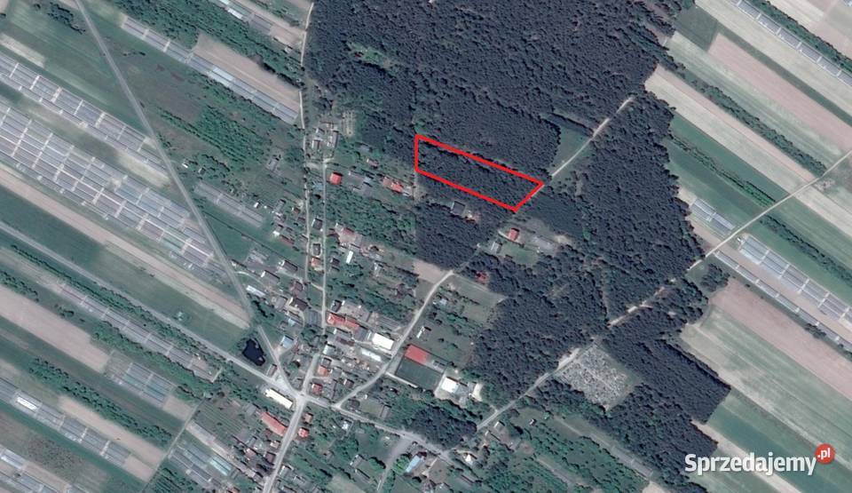 Działka leśna 5600m 90 Warszawy Sprzedaż Kostrzyn
