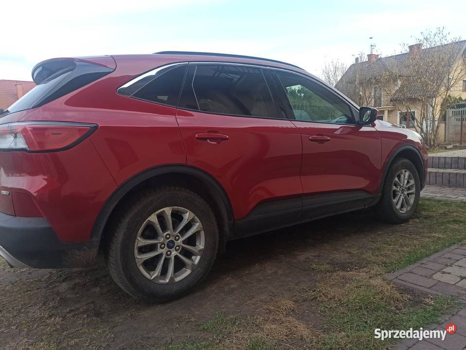 Ford Escape 15 44 Nieporęt