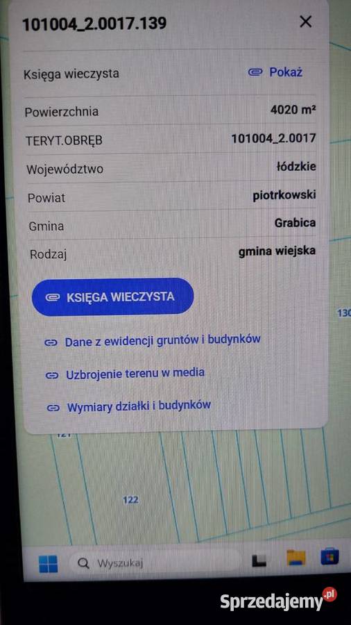 Las na sprzedaż Lubonia