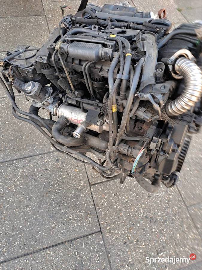 Citroen Peugeot Ford 16 HDi 109 silnik kompletny Jastrzębie-Zdrój sprzedam