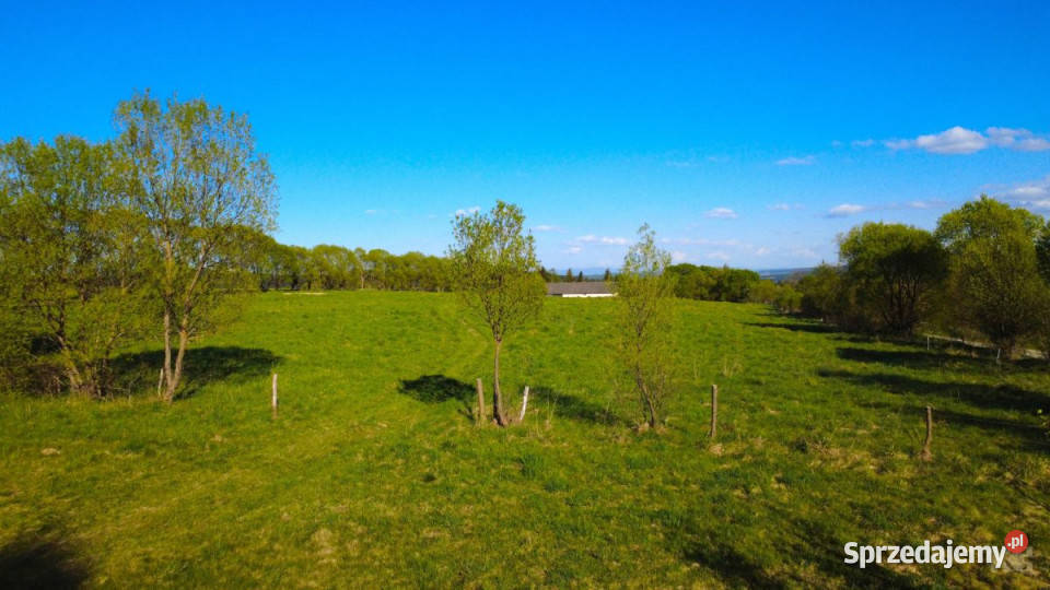 sprzedaży gruntu Lutowiska 23733 metry podkarpackie