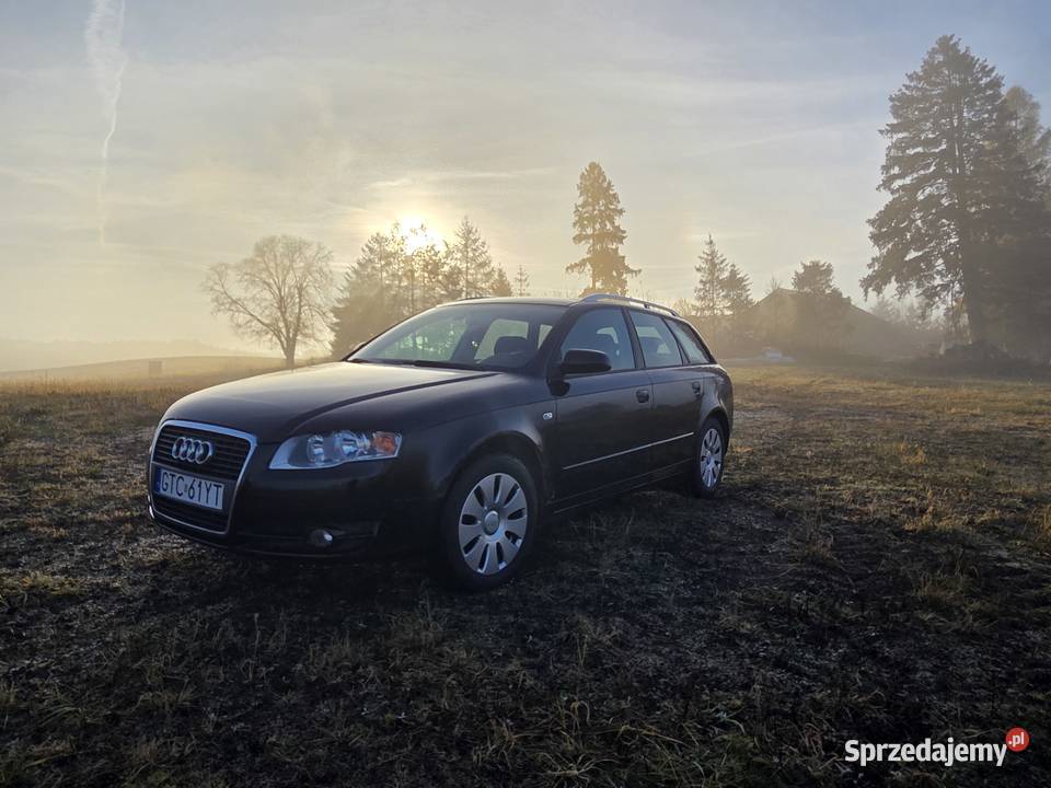 Audi a4b7 20 tdi 140 Kołczygłowy