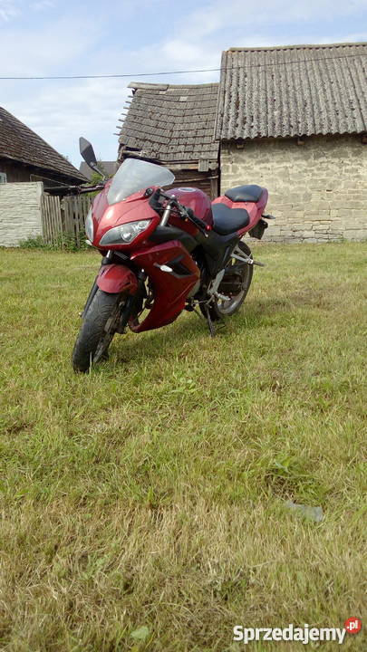 Leone rk 12550 Święcica