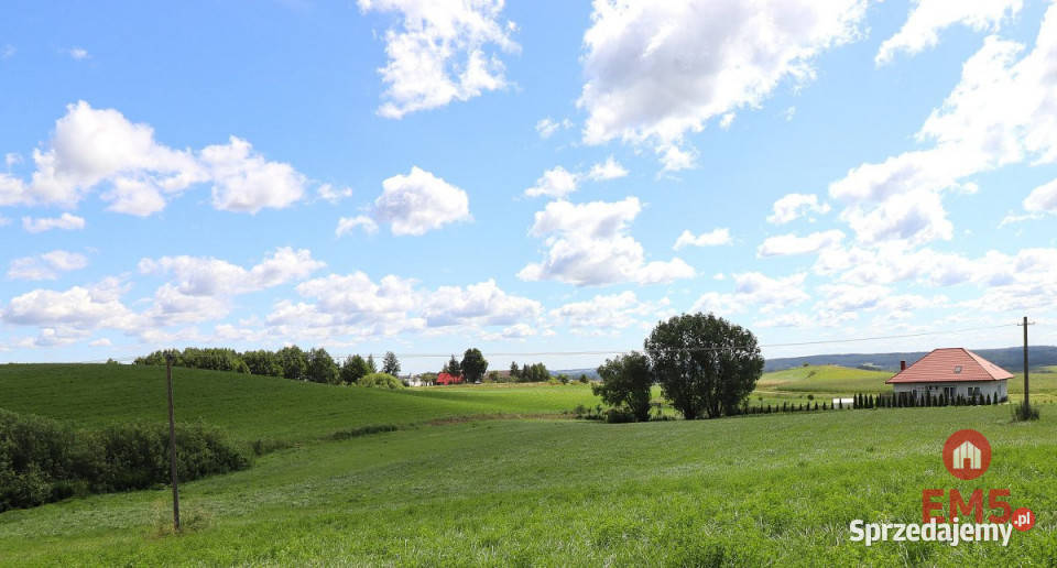 Działka 3003 metry Olszanka