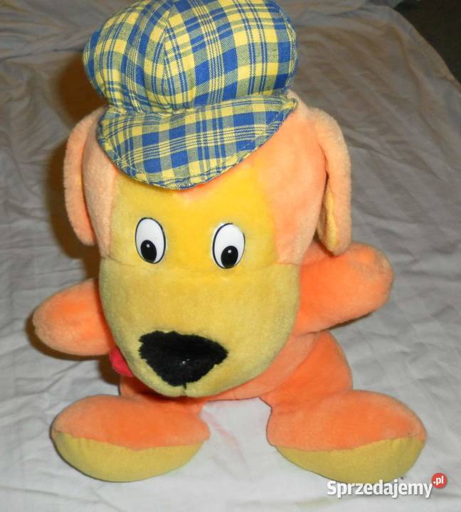 Duży Pies w Czapce mały Kret Kraków