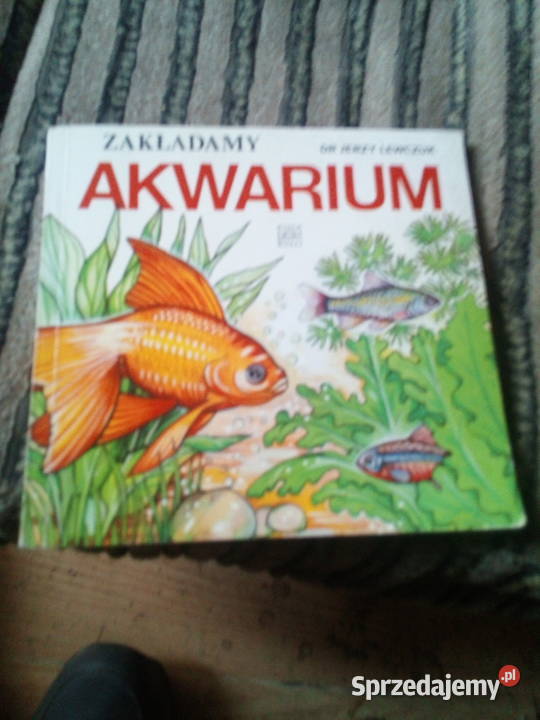 Zakładamy akwarium Jerzy Lewczuk Warszawa sprzedam