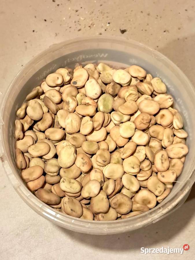 Sprzedam bób Bizon Radziemice