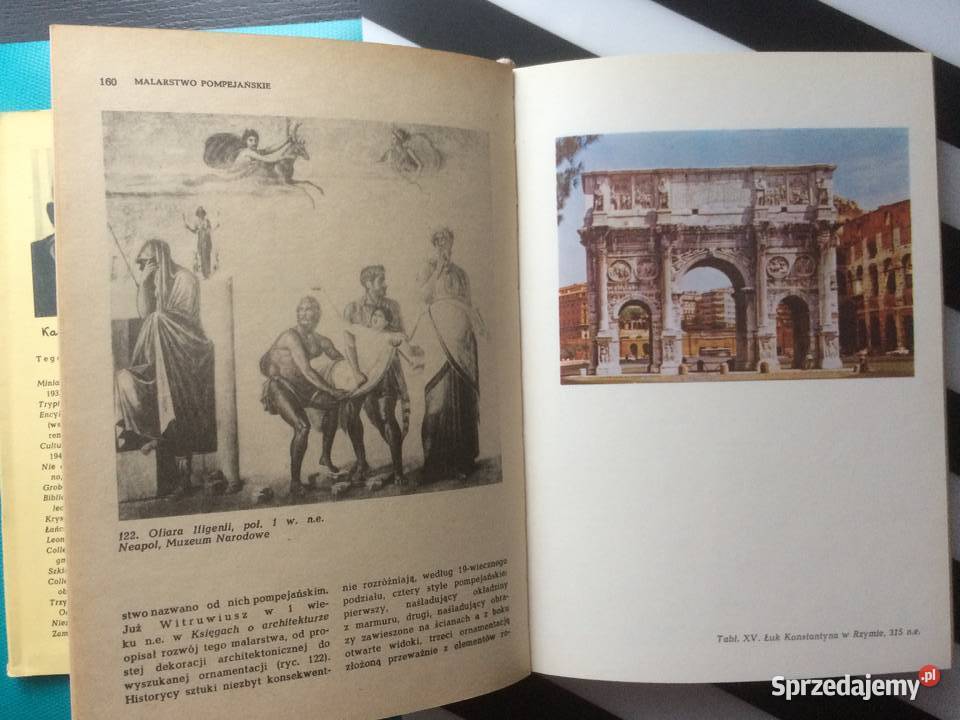 3546 Historia Sztuki W Zarysie Szczecin