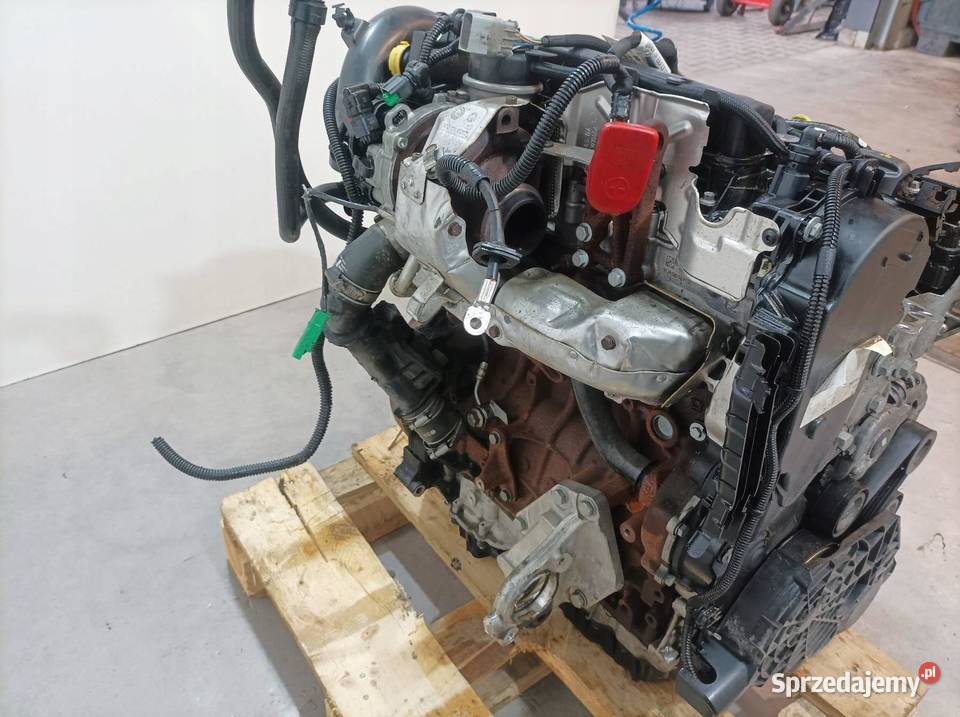 SILNIK KOMPLETNY DIESEL AH01 20 BLUE HDI Peugeot sprzedam