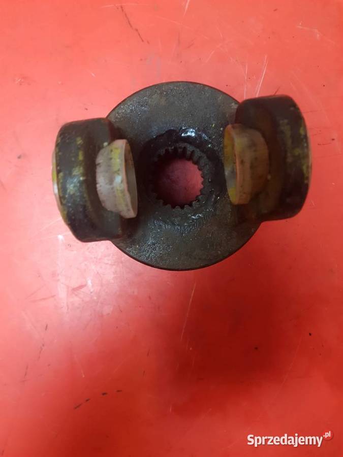 Widłak zewnętrzny 54131 lubuskie Sulechów