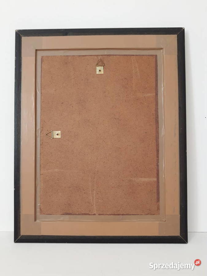 Portret konia Warszawa