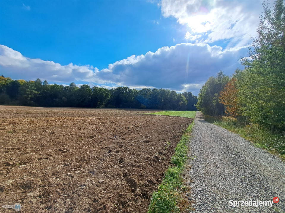sprzedaży gruntu 8879m2 Łagów Sprzedaż sprzedam