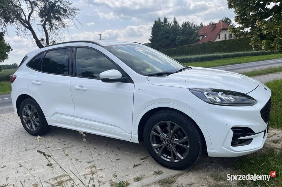 Ford Kuga STLine X biały
