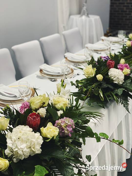 Kameralna sala Bydgoszcz