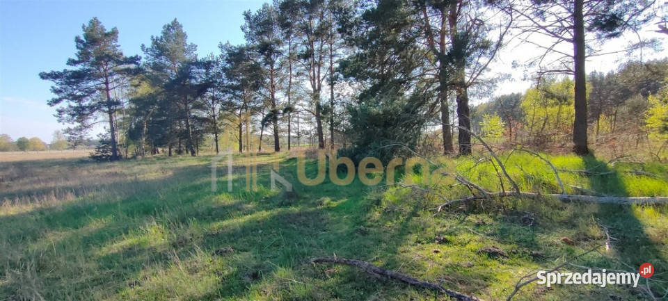 Stawno powkamieński Działka Inwestycyjna Sprzedaż Kamień Pomorski