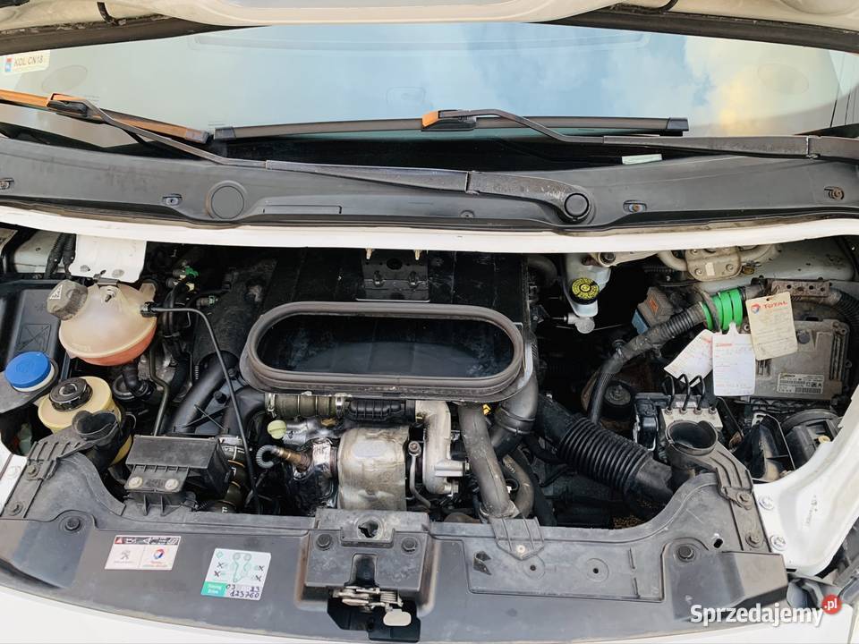 Peugeot Expert 16 HDI 2012 r 3osobowy niski Gołaczewy