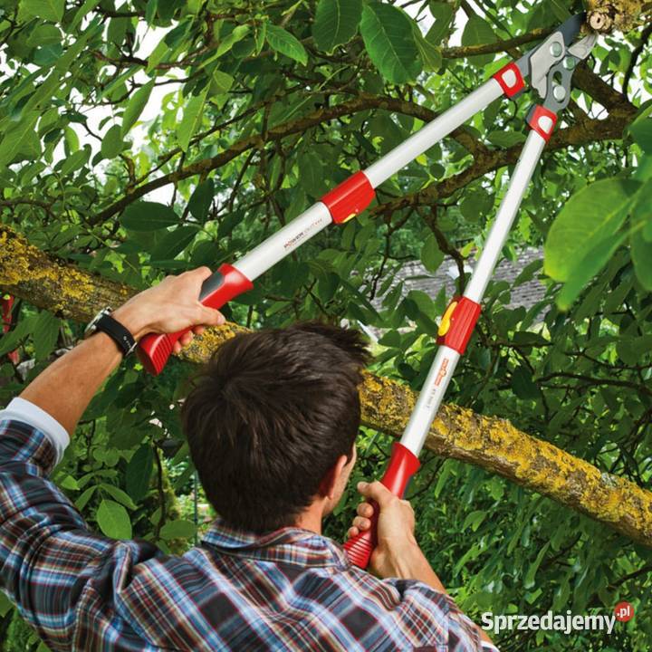 Sekator kowadełkowy POWER CUT RS 900 T Wolf Tajęcina