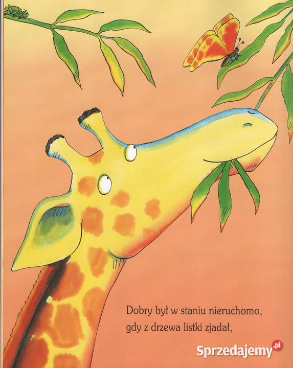 ŻYRAFY NIE UMIEJĄ TAŃCZYĆ Gorzów Wielkopolski