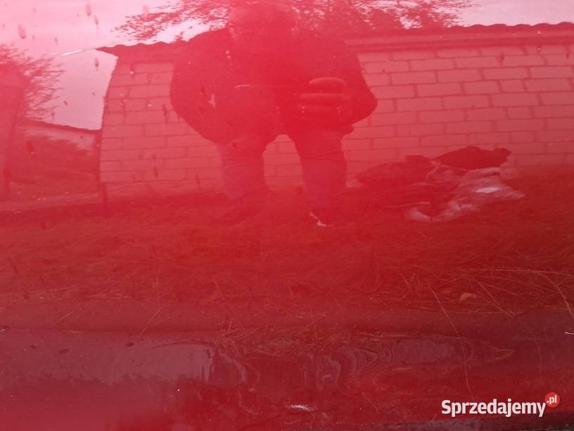 Kia procced 2023 drzwi lewy przód kod lak AA9 osobowe