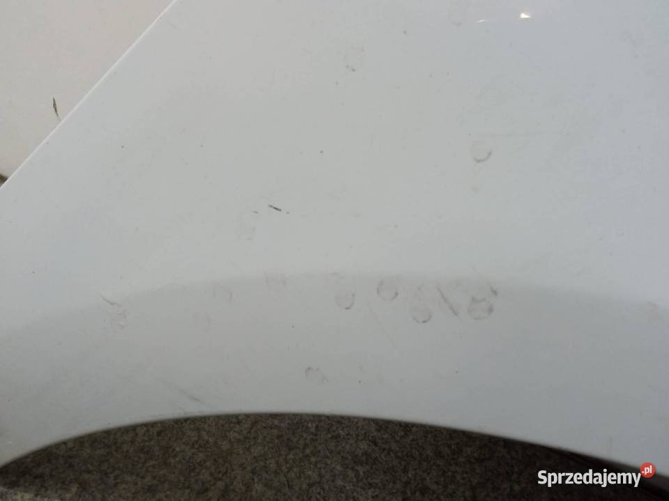 BŁOTNIK PRAWY PRZÓD DV369 Renault Scenic III świętokrzyskie