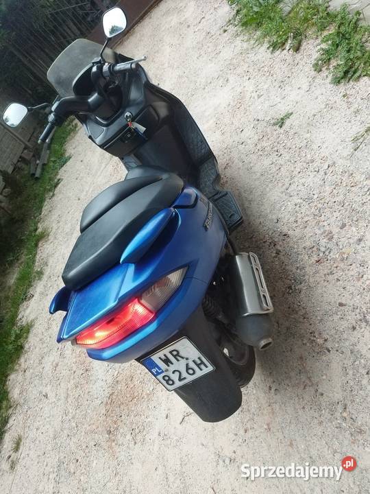 Suzuki świętokrzyskie Zaskale