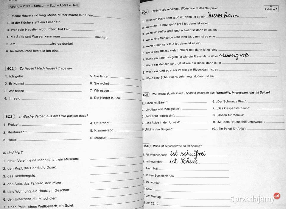 Das deutschmobil Język niemiecki dzieci Chełm sprzedam