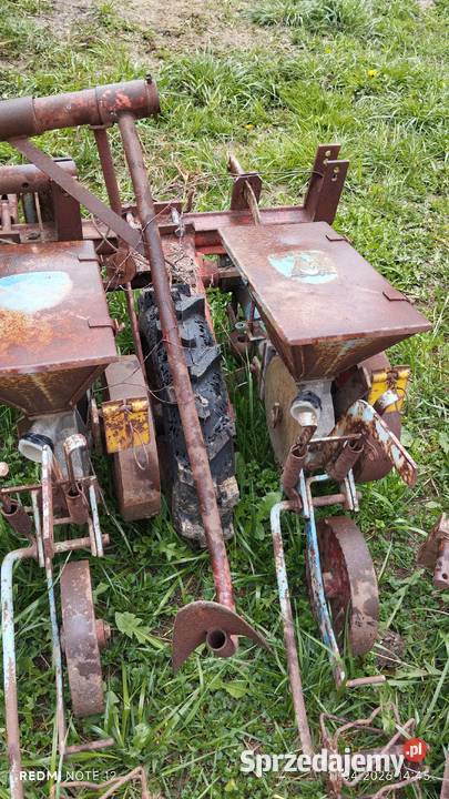 Siewnik do buraków Kosina