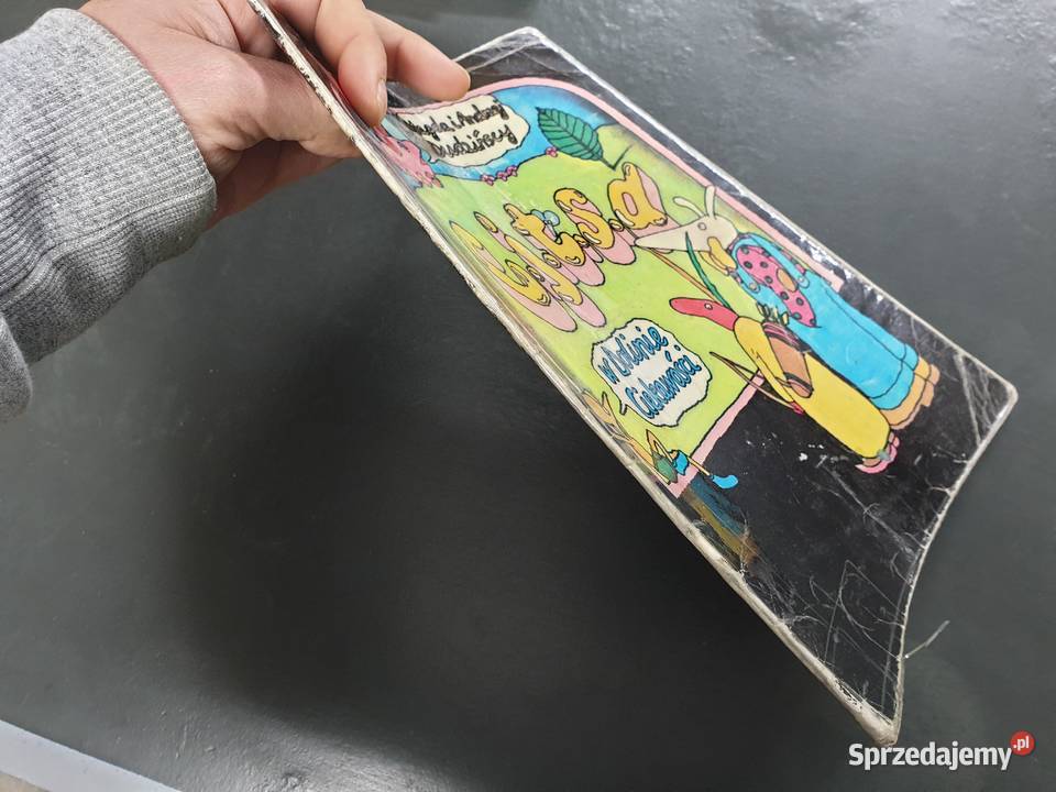 W dolinie Ciekawości Magda i Andrzej Dudzińscy Komiksy Gdynia