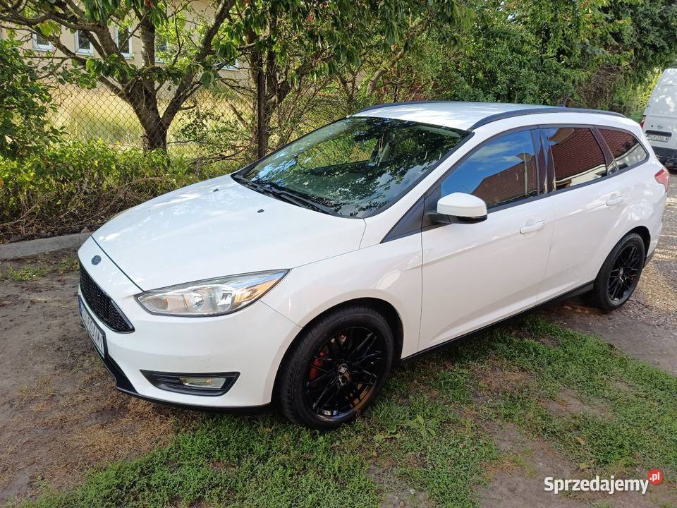 Ford Focus Mk 3 lift 999cm3 Gniezno