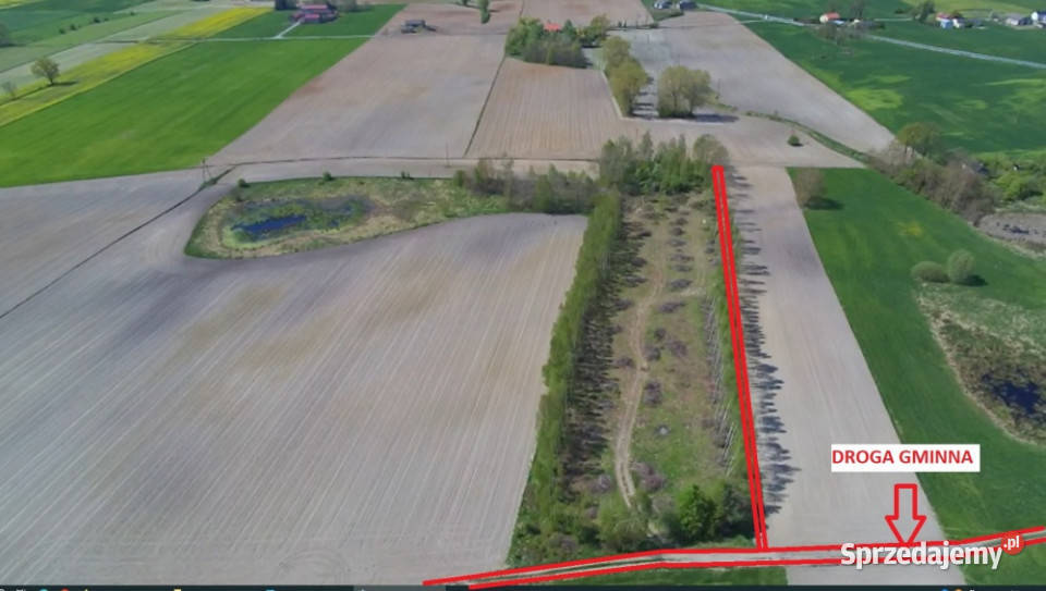 Działki 1083m2 do 1697m2 na Kujawach niedaleko kujawsko-pomorskie Rzeżewo-Morzyce