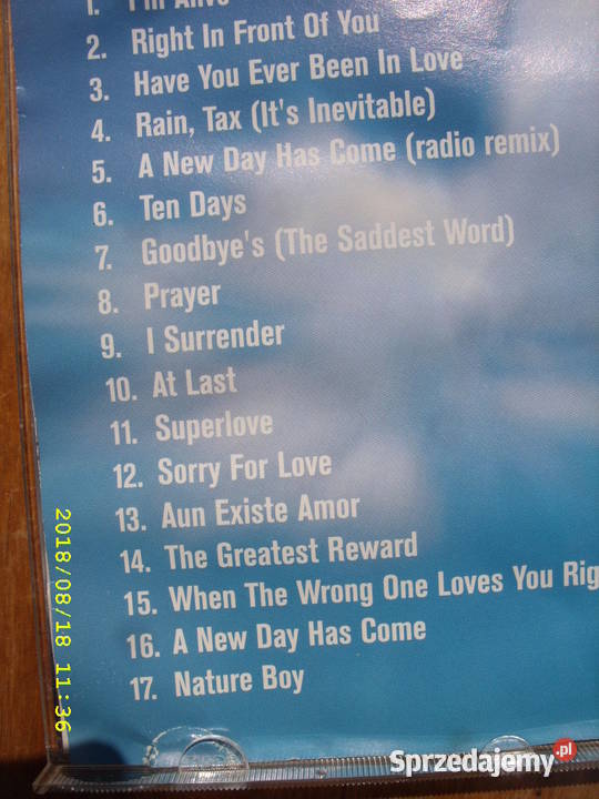 POP CD CELINE DIONA DAY HAS COME 2002 R Wołów sprzedam