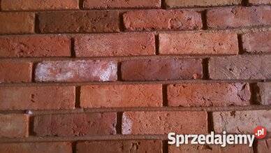 płytki z cegły Elbląg
