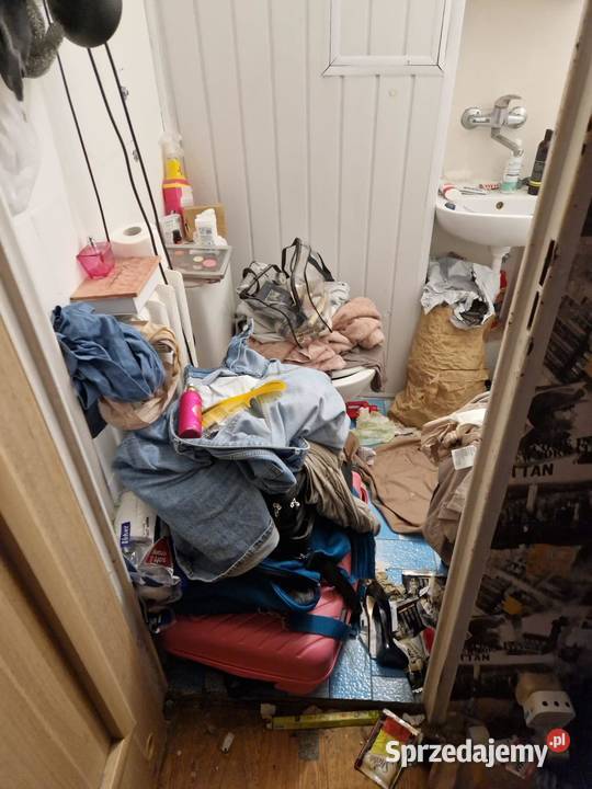 Usuwanie wirusów i bakterii zgonach Radom Vector