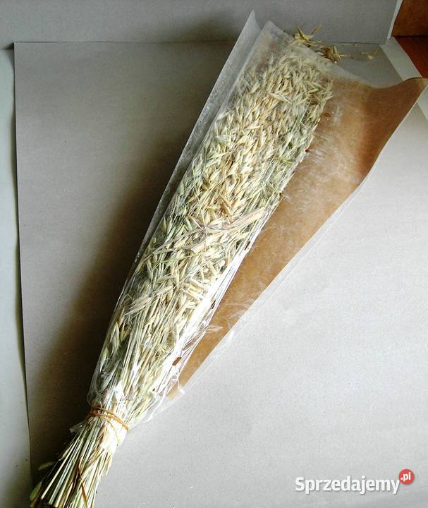 Susz ozdobny zboża trawy Dijk Natural łódzkie Bełchatów