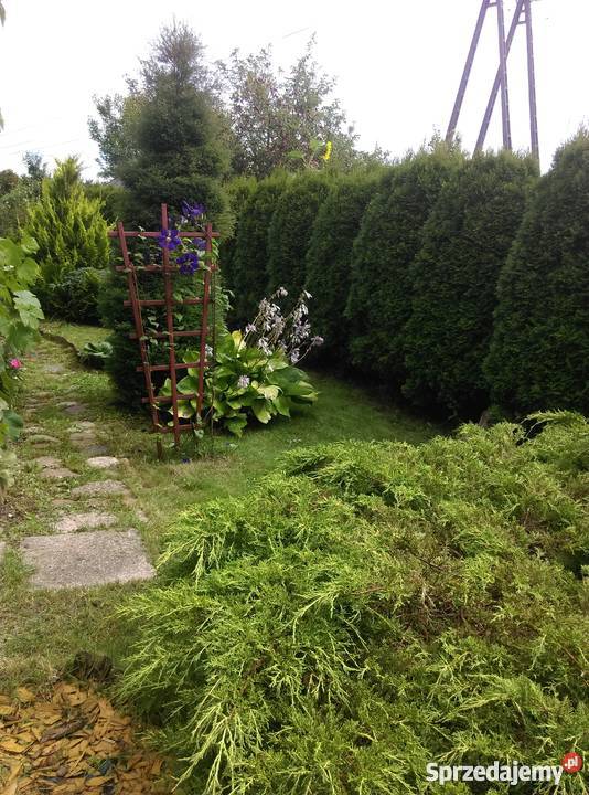 Sprzedam działkę ogrodową na Malwa Sianożęć podlaskie Suwałki