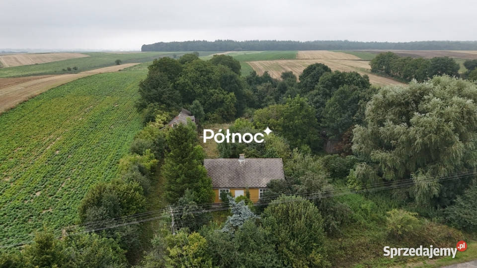Gospodarstwo rolne dom pole i sad 088 ha Telatyn