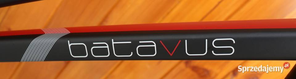 Rower damski Batavus Gavia D 55 I inne rowery z Milanówek