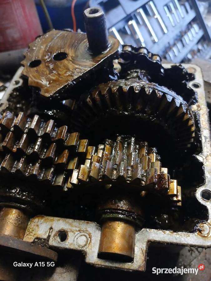 Sprzedam Pozostałe Pozostałe Jabłonowo Pomorskie