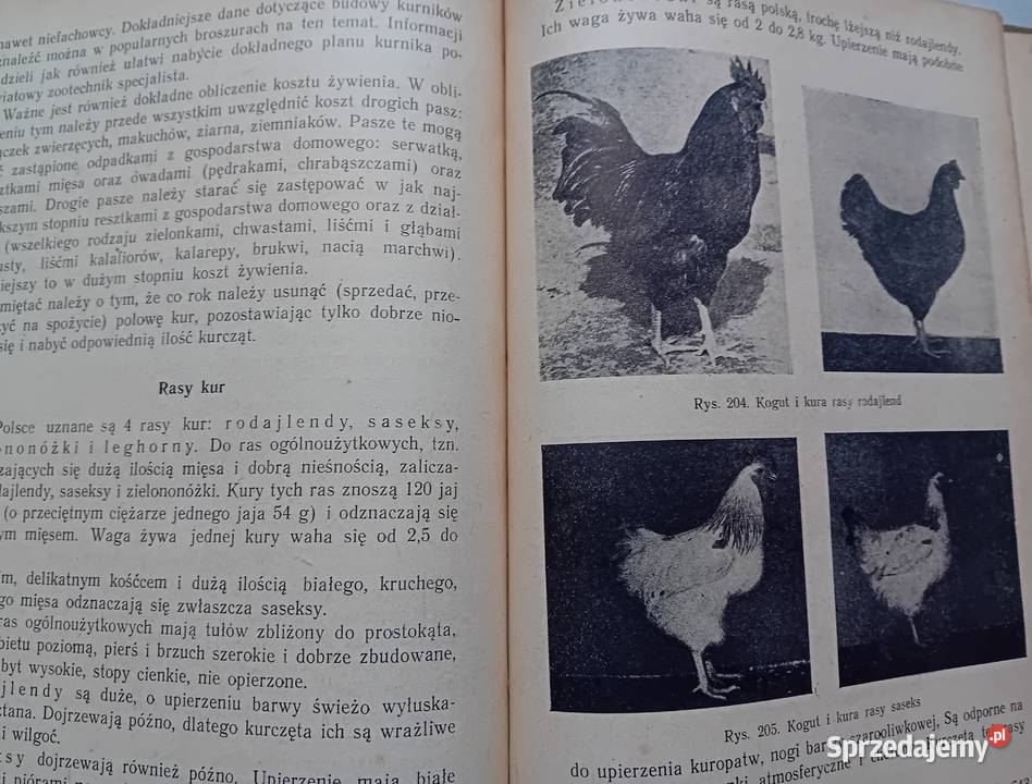 Przewodnik działkowca PWRiL 1954 r Wydanie I Koźminek