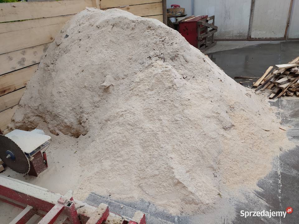 TROCINY TROT Opał Kunów