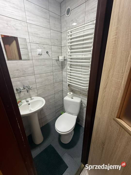 Do wynajęcia pokó w centrum Krakowa Liczba pokoi 1 Wynajem