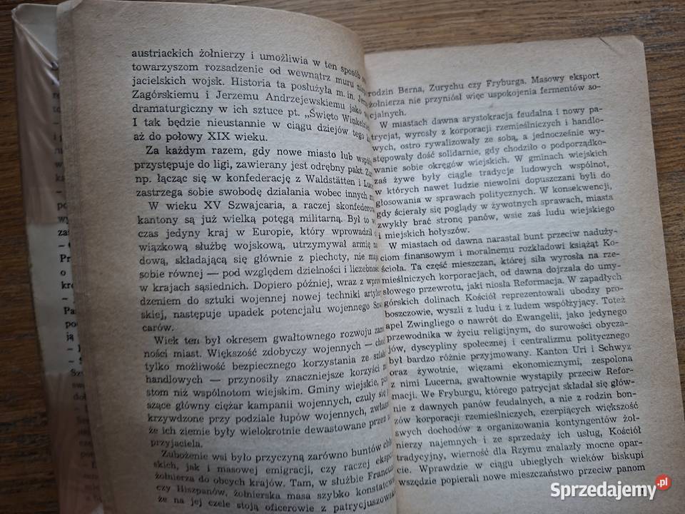 Berneńskie ABCWSkulska A Kruczkowski przewodnik Kraków sprzedam