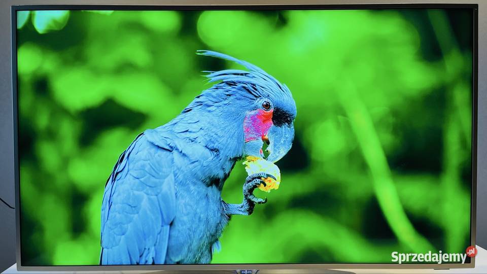 TV Philips 55 4K ANDROID TV WiFi Osuchów
